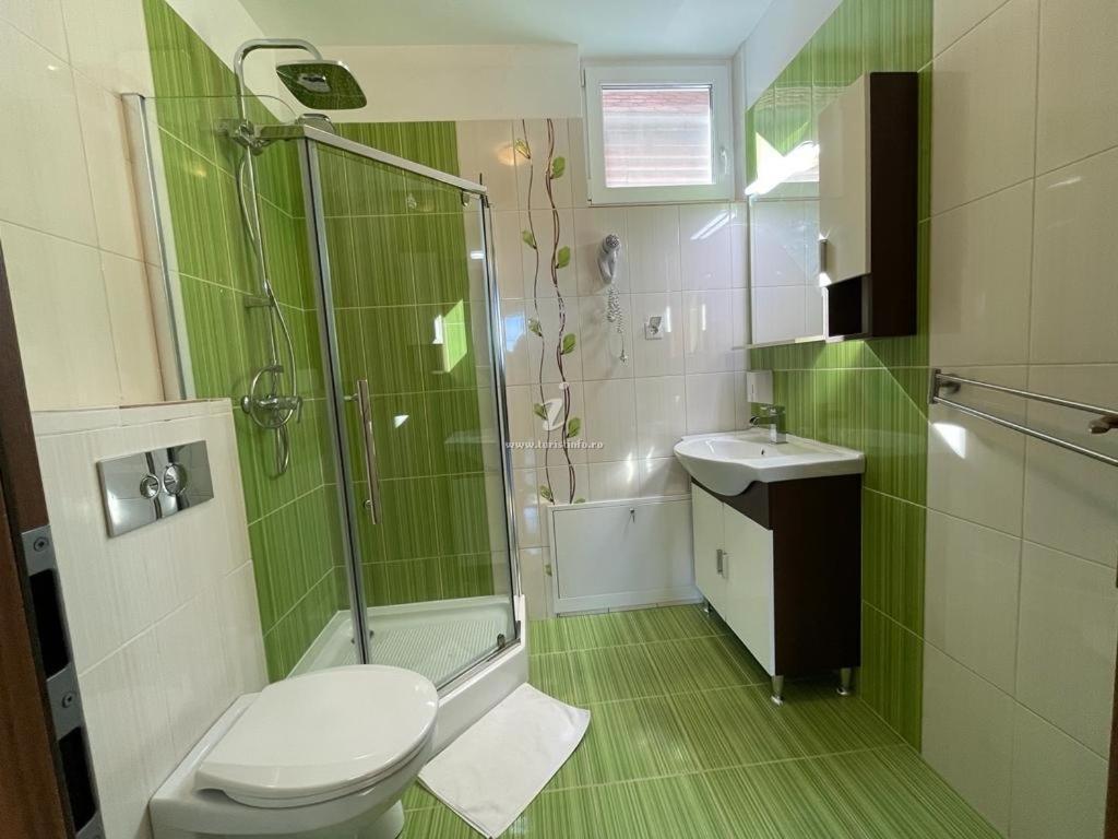 Vila Salzburg Hotell Ocna Sibiului Exteriör bild