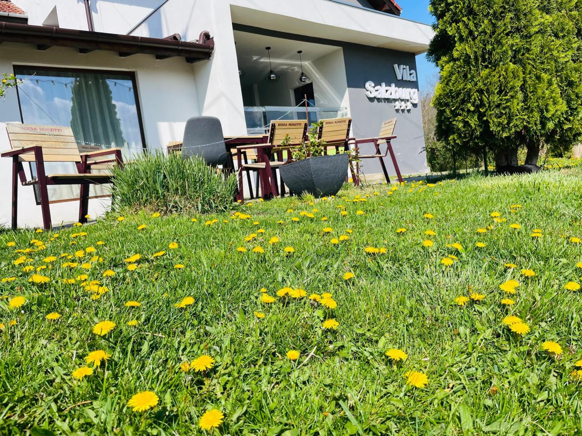 Vila Salzburg Hotell Ocna Sibiului Exteriör bild